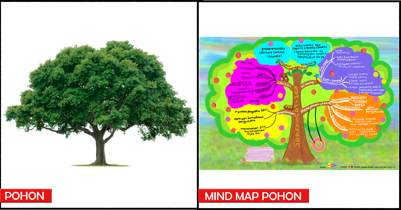 Detail Contoh Mind Mapping Pohon Nomer 6