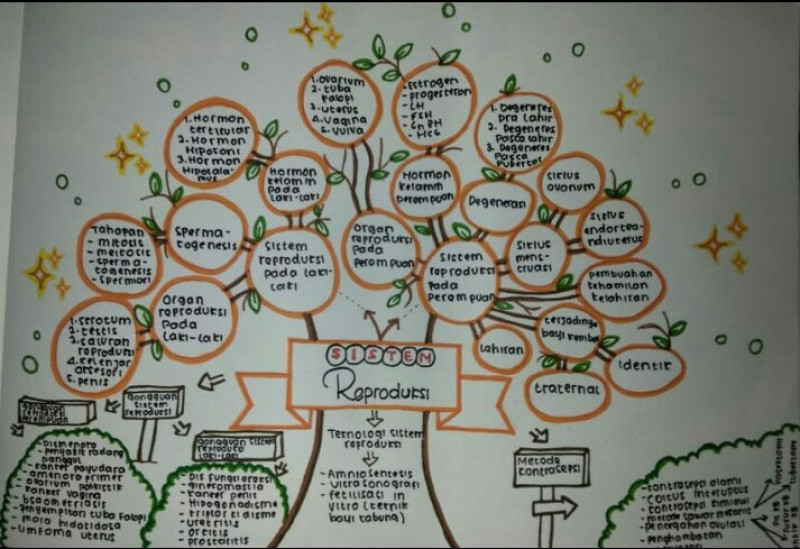 Detail Contoh Mind Mapping Unik Nomer 51