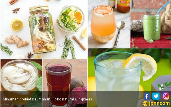 Contoh Minuman Prebiotik - KibrisPDR