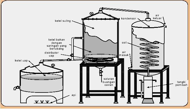 Detail Contoh Minyak Atsiri Nomer 37