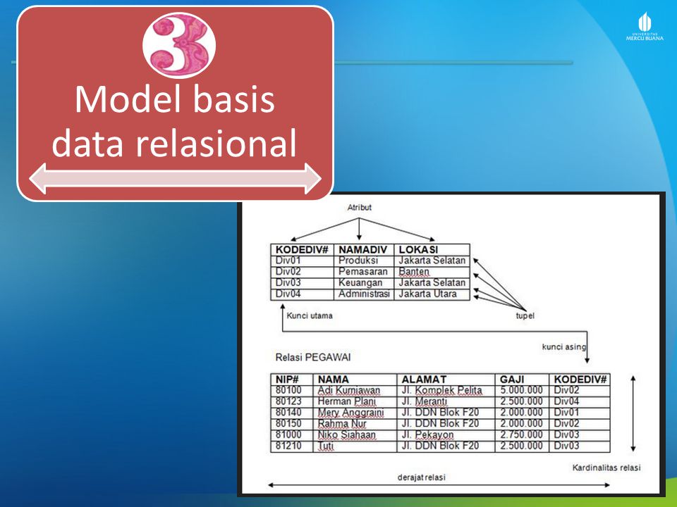 Detail Contoh Model Data Relasional Nomer 28