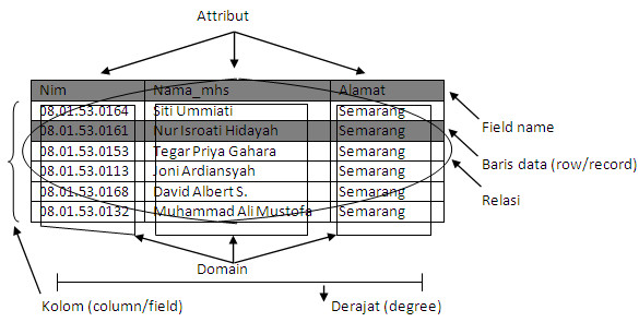 Detail Contoh Model Data Relasional Nomer 29