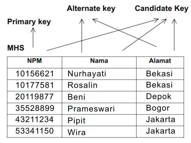 Detail Contoh Model Data Relasional Nomer 45