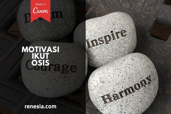 Detail Contoh Motivasi Organisasi Nomer 34