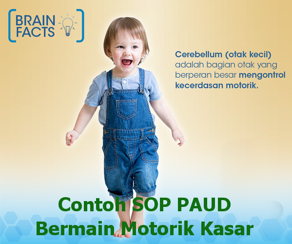 Detail Contoh Motorik Kasar Anak Tk Nomer 47