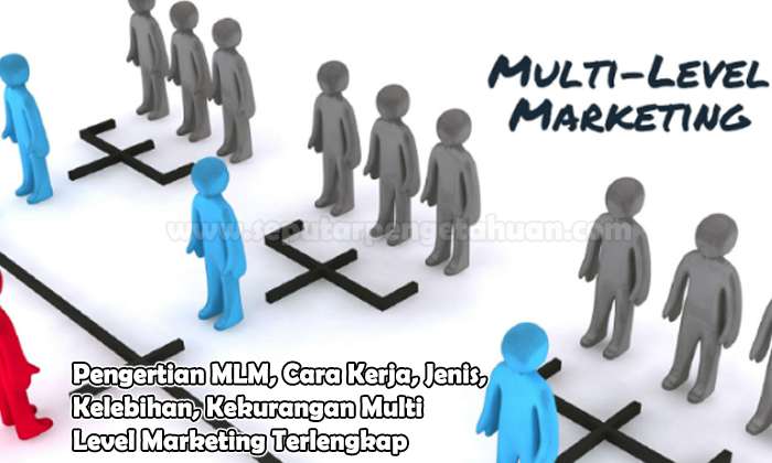 Detail Contoh Multi Level Marketing Nomer 5