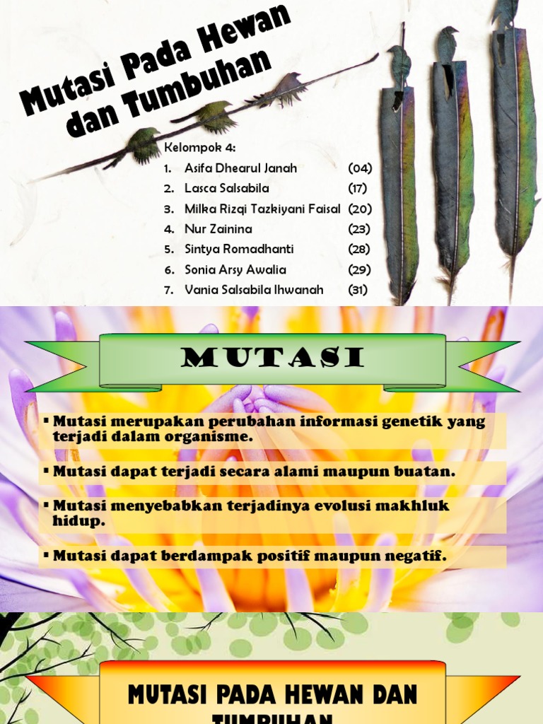 Detail Contoh Mutasi Alami Nomer 22