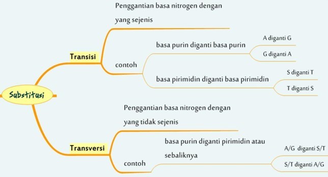 Detail Contoh Mutasi Gen Nomer 12