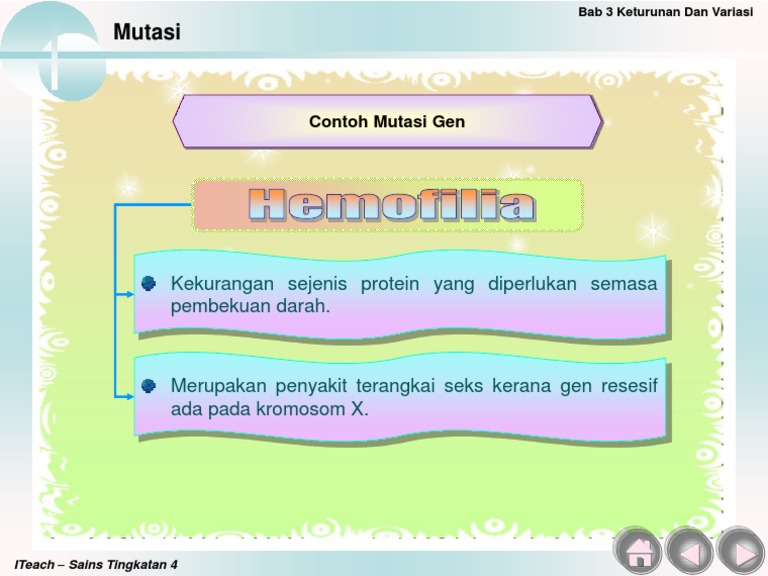 Detail Contoh Mutasi Gen Nomer 14