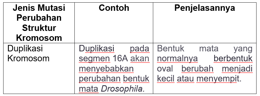 Detail Contoh Mutasi Gen Nomer 22