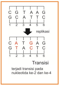 Detail Contoh Mutasi Gen Nomer 8