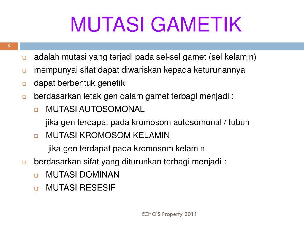 Detail Contoh Mutasi Somatik Nomer 4