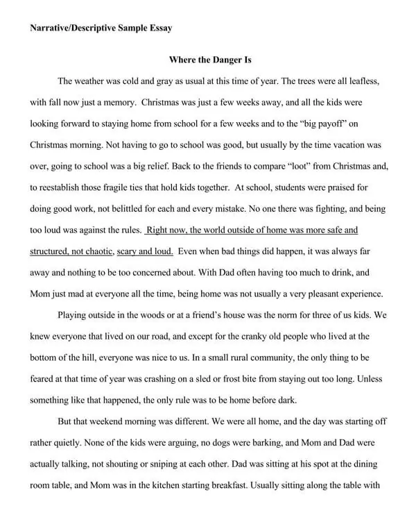 Detail Contoh Narrative Essay Nomer 19