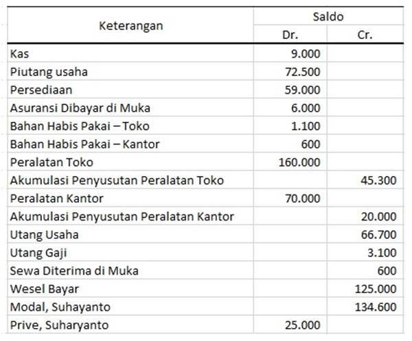 Detail Contoh Neraca Saldo Perusahaan Dagang Nomer 13