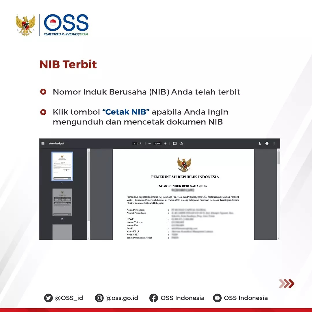 Detail Contoh Nib Perusahaan Nomer 52