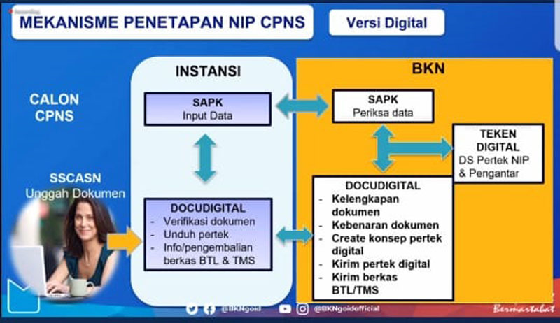 Detail Contoh Nomor Induk Pegawai Nomer 41