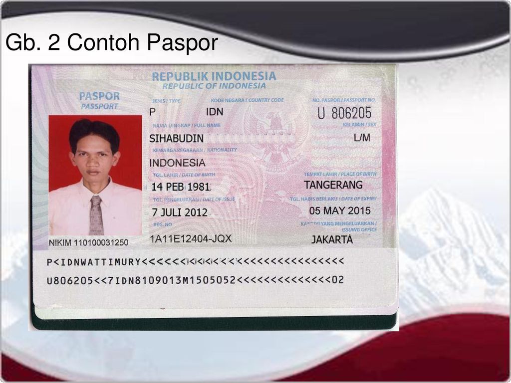 Detail Contoh Nomor Paspor Indonesia Nomer 51