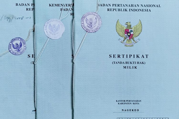 Detail Contoh Nomor Sertifikat Nomer 11