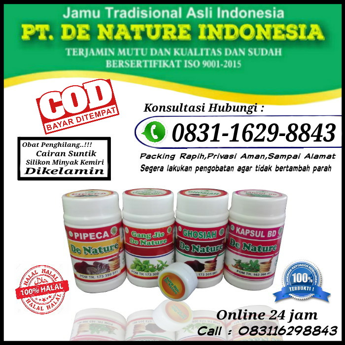 Detail Contoh Obat Kapsul Nomer 52