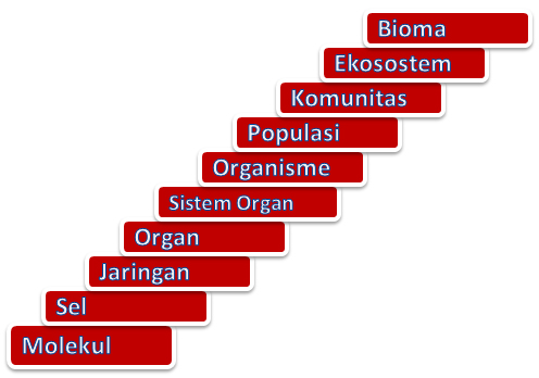 Detail Contoh Objek Biologi Nomer 11