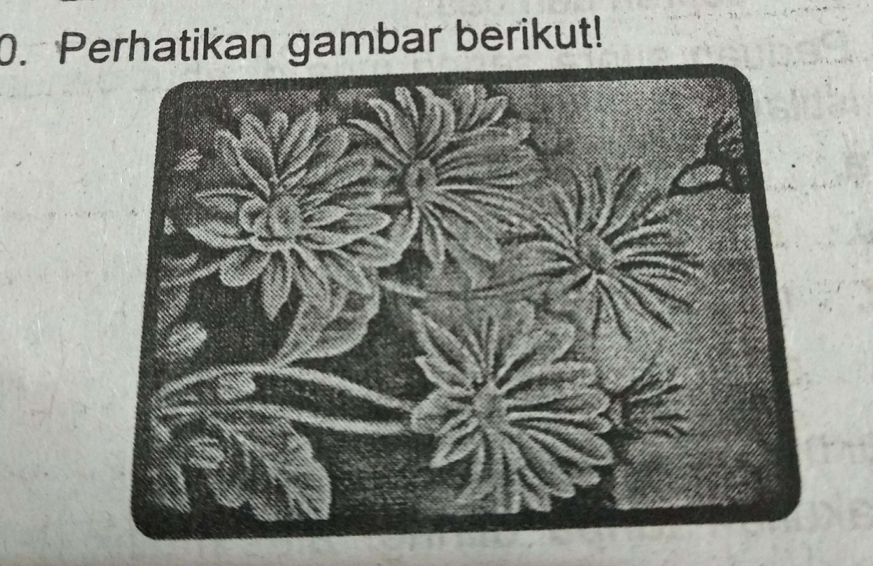 Detail Contoh Objek Gambar Nomer 29