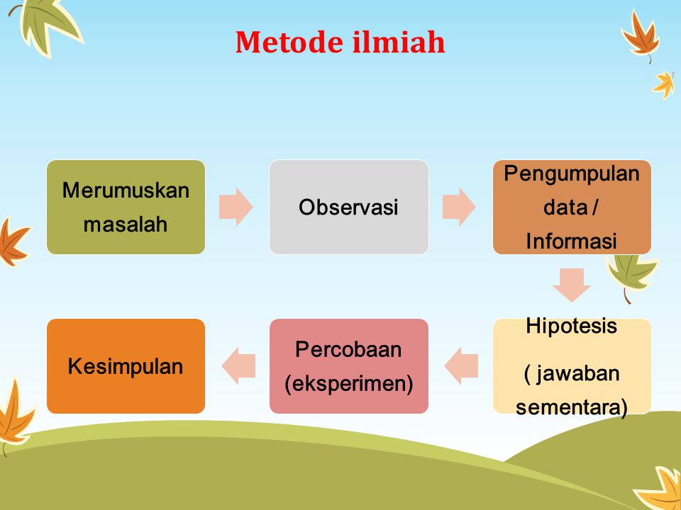 Detail Contoh Objek Ipa Nomer 54