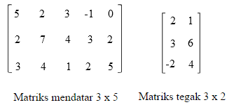 Detail Contoh Ordo Matriks Nomer 38
