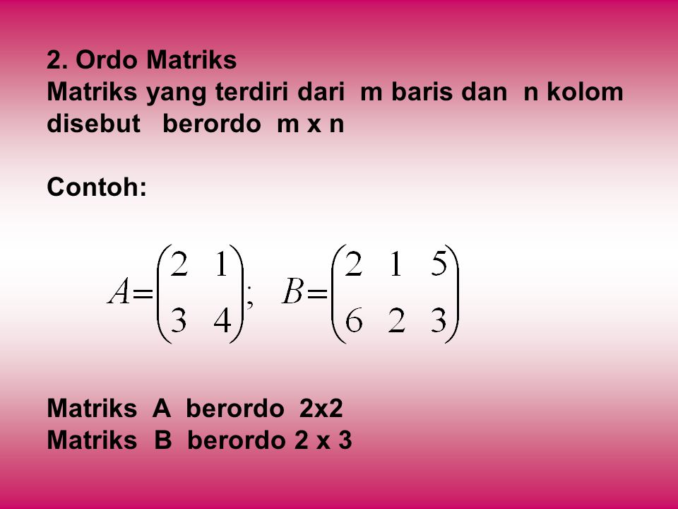 Detail Contoh Ordo Matriks Nomer 55