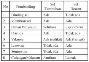 Detail Contoh Organel Sel Nomer 55