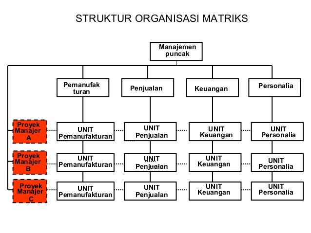 Detail Contoh Organisasi Matriks Nomer 10