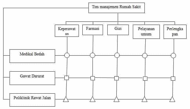 Detail Contoh Organisasi Matriks Nomer 13