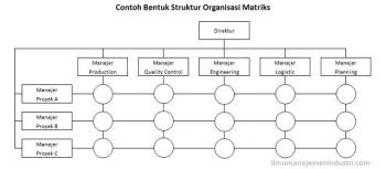 Detail Contoh Organisasi Matriks Nomer 14