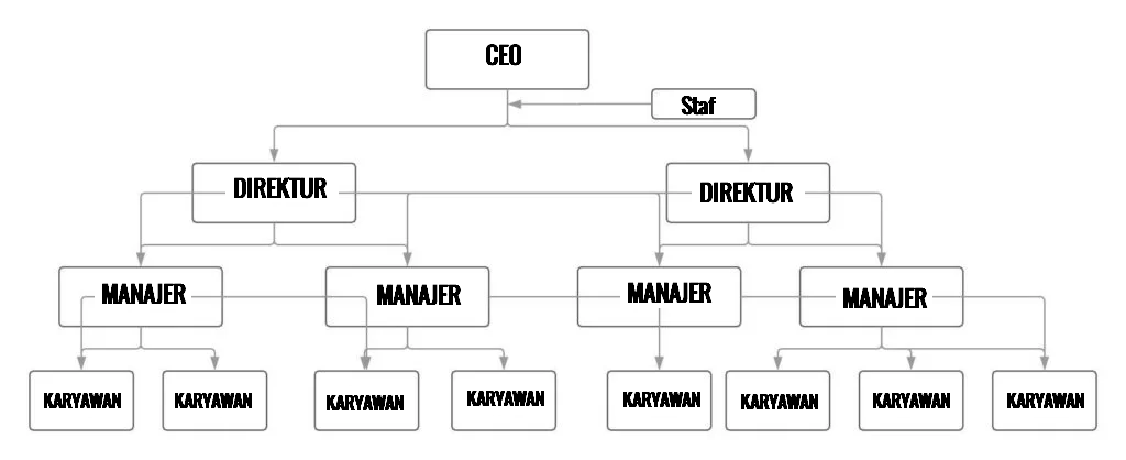 Detail Contoh Organisasi Matriks Nomer 15