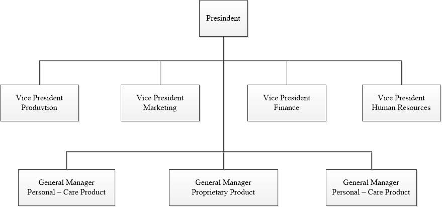 Detail Contoh Organisasi Matriks Nomer 23