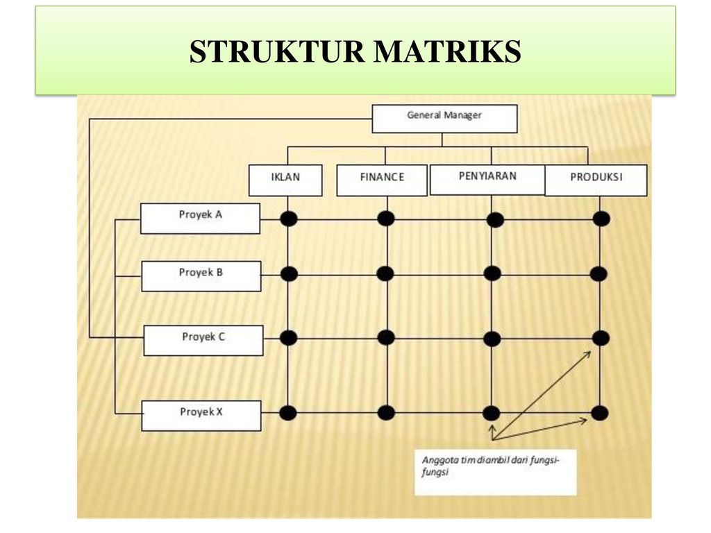 Detail Contoh Organisasi Matriks Nomer 24