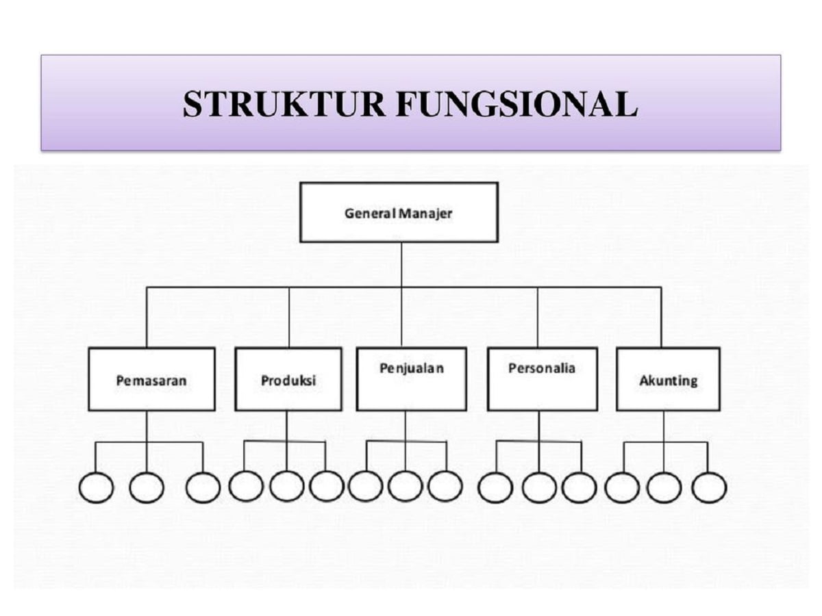 Detail Contoh Organisasi Matriks Nomer 28