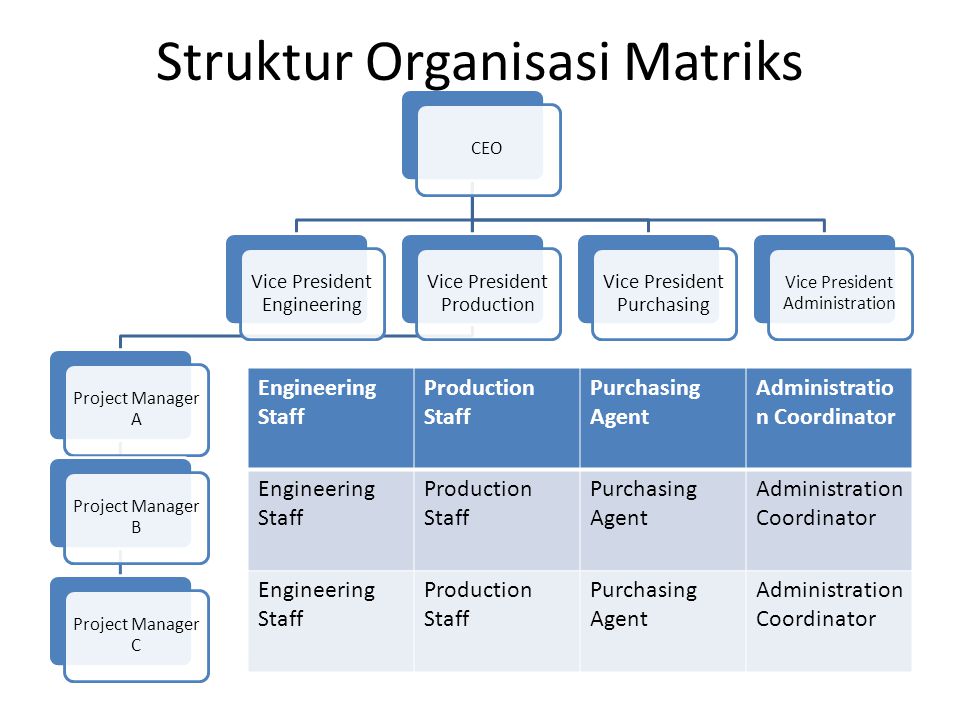 Detail Contoh Organisasi Matriks Nomer 29