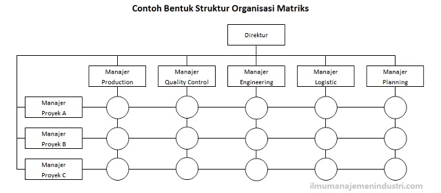 Detail Contoh Organisasi Matriks Nomer 46