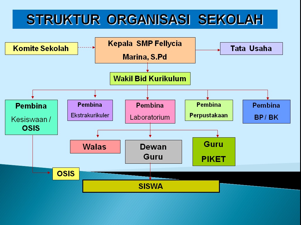 Detail Contoh Organisasi Swasta Nomer 18