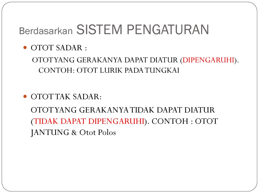 Detail Contoh Otot Jantung Nomer 54