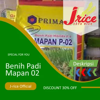 Detail Contoh Padi Hibrida Nomer 40