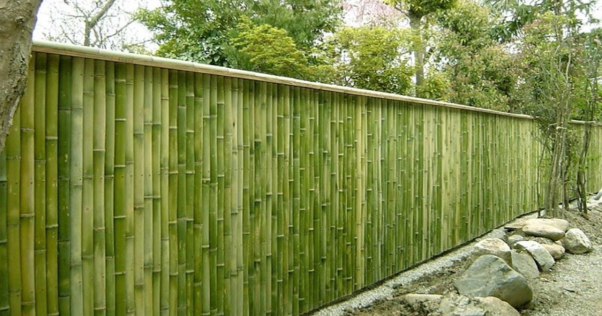 Detail Contoh Pagar Bambu Sederhana Nomer 24