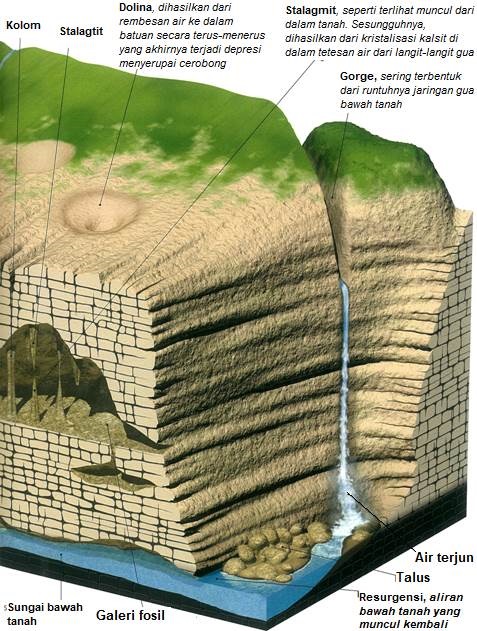 Detail Contoh Pelapukan Kimia Nomer 46