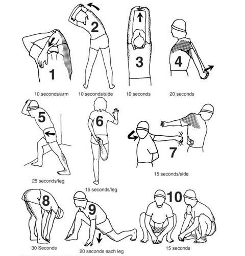 Detail Contoh Pemanasan Olahraga Nomer 16