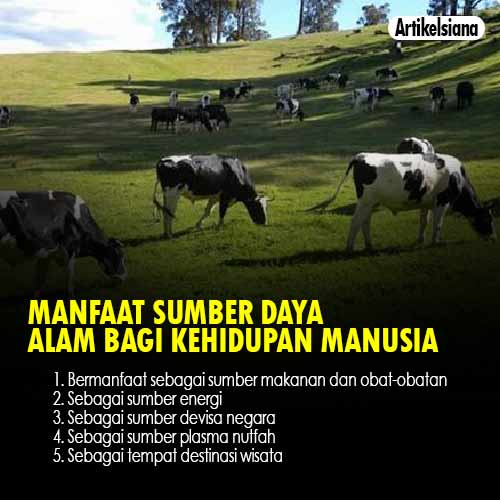 Detail Contoh Pemanfaatan Sumber Daya Alam Nomer 20