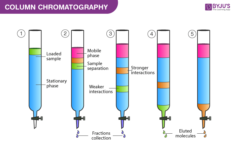 Detail Contoh Pemisahan Kromatografi Nomer 3