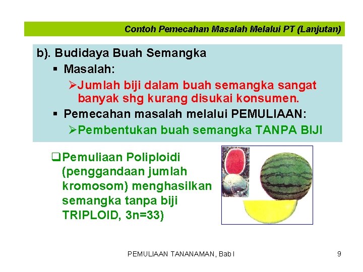 Detail Contoh Pemuliaan Tanaman Nomer 27