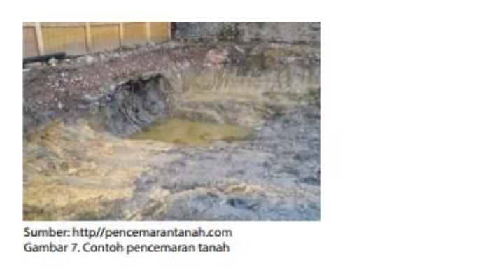 Detail Contoh Pencemaran Biologi Nomer 27