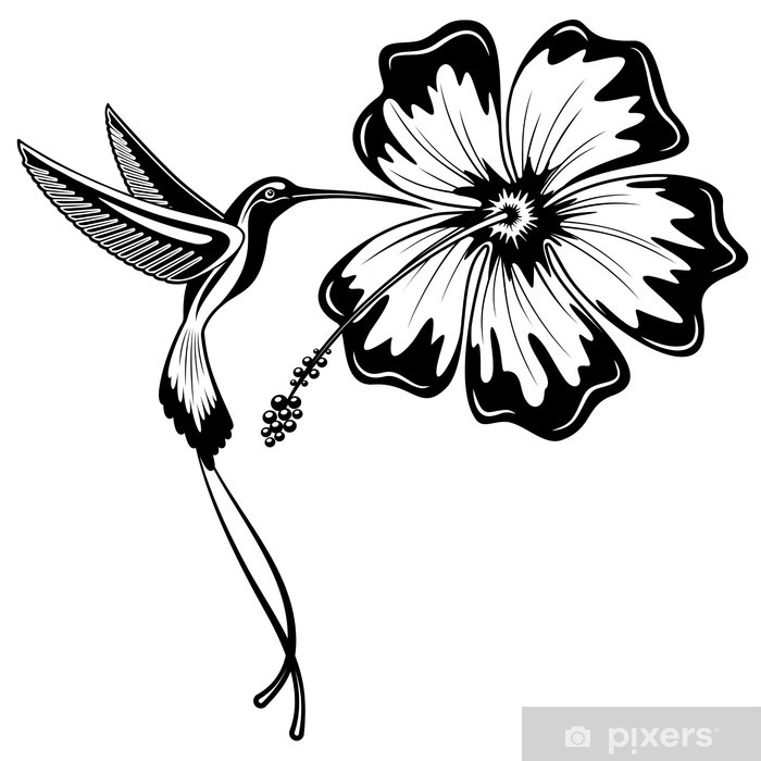 Hibiskus Tattoo - KibrisPDR