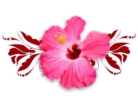 Detail Hibiskus Tattoo Nomer 11